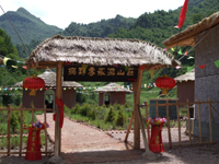 lyym_s_n1.jpg lyym_s_n1.jpg